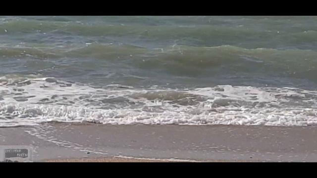 Муж против моей татуировки смотреть онлайн