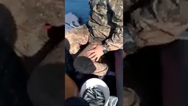 рыбалка на черном море ставрида смотреть онлайн