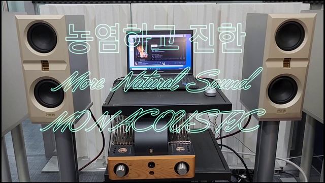 [SPEAKER] PLATIMON sample version 3 смотреть онлайн