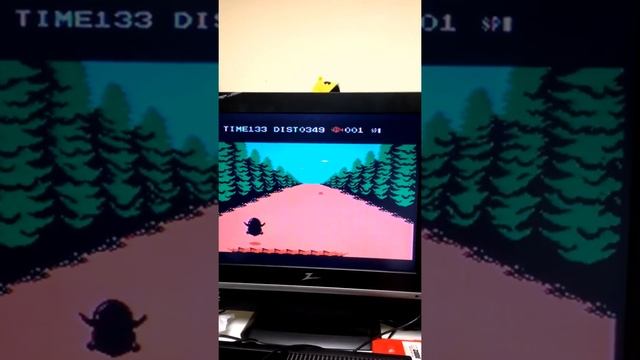 Penguin Adventure - Super Game Module смотреть онлайн