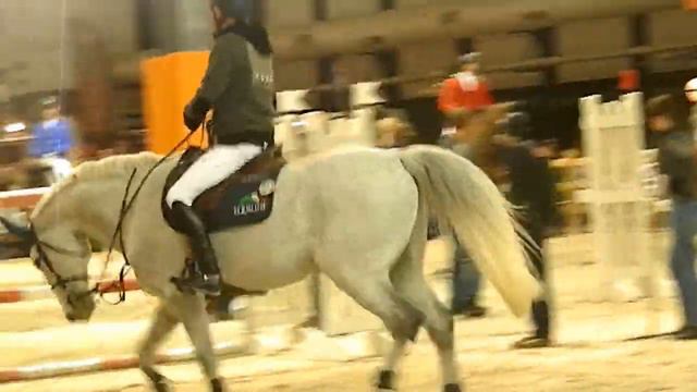 Jumping de Bordeaux 2013 Paddock смотреть онлайн
