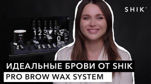 Идеальные брови от SHIK / PRO BROW WAX SYSTEM / SHIK