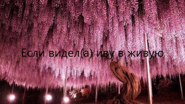 Пой эту песню если ты 2 смотреть онлайн