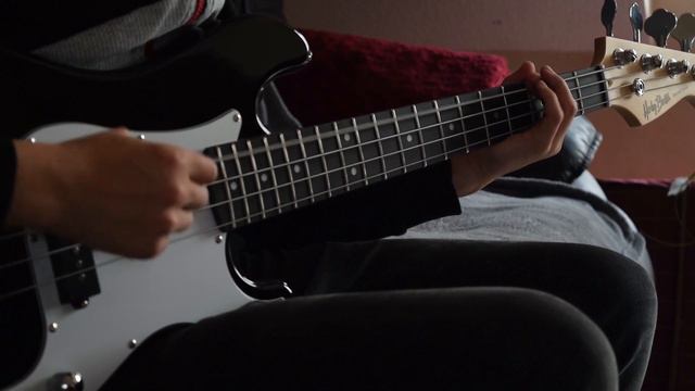 Pins and Needles (Billy Talent) - Bass Cover смотреть онлайн