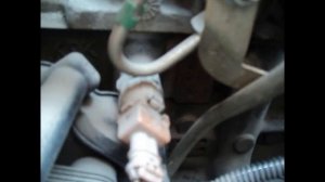 как посмотреть номер двигателя и VIN-код Renault Kangoo