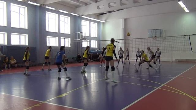 Первенство г. Краснодара по волейболу от 29.01.2017 г. смотреть онлайн