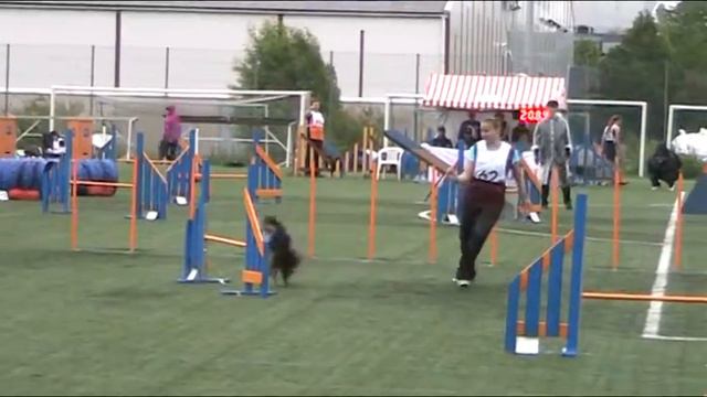 Agility SM Netta joukkue смотреть онлайн