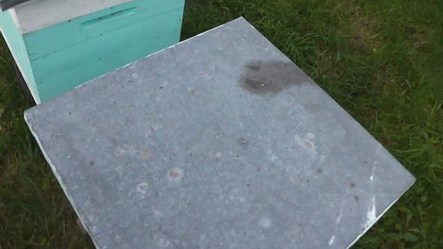 без верхнего утепления расплод не застудится