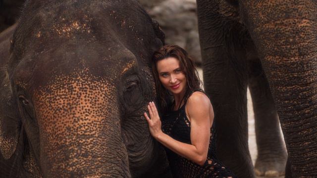 Фотосессия и видеосъемка со слонами на Пхукете смотреть онлайн