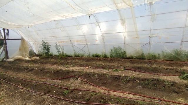 НЕ ДЕЛАЙТЕ такую ошибку!!! Убираю второй слой пленки! смотреть онлайн