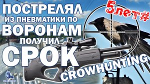 Охота на ворон с пневматикой! Crowhunting! Закон. #закон #пневматика #охота
