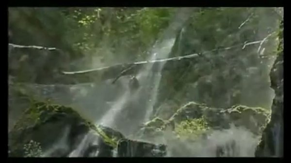 Zepter Aqueena — фильтр Цептер