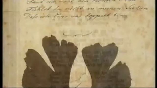 Иоганн Вольфганг Гёте смотреть онлайн