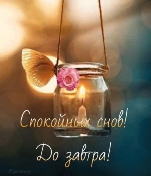 Оригинальное Пожелание Спокойной Ночи!