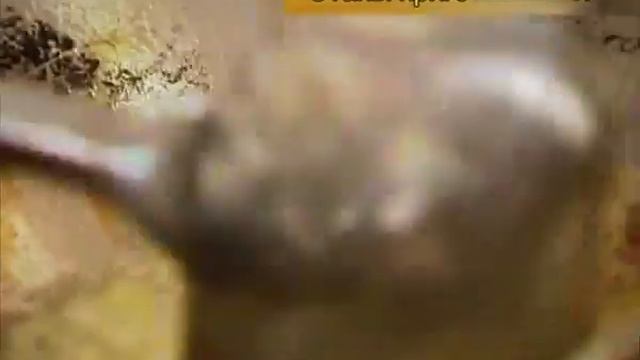 Жареные креветки с морковью и огурцом смотреть онлайн