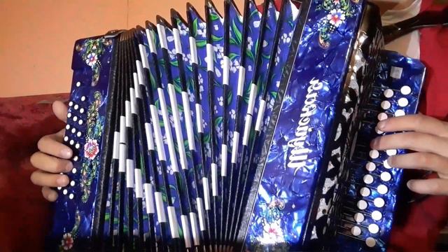 Застольные песни на гармони смотреть онлайн