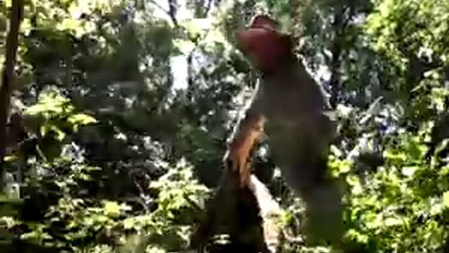 Чистим реку сами. 1 смотреть онлайн