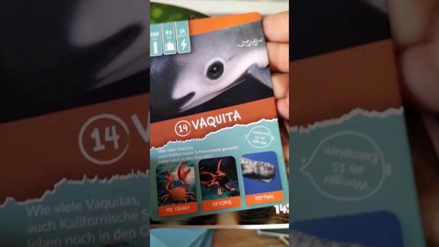 распаковка карточек 1часть смотреть онлайн