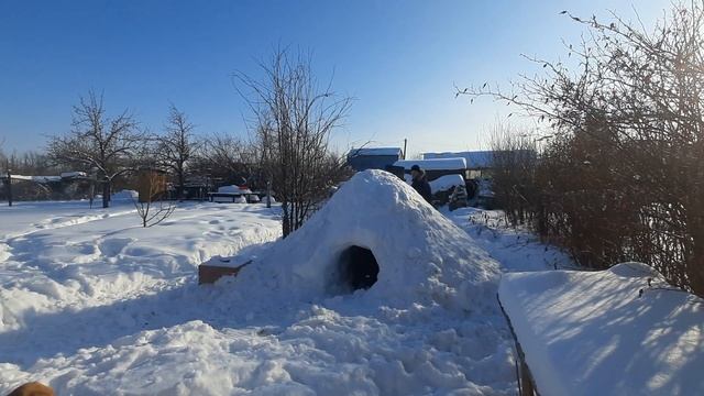 Строим Снежный Дом — Иглу | Часть 1 | Бигль Зевс | Бушкрафт Эскимосов