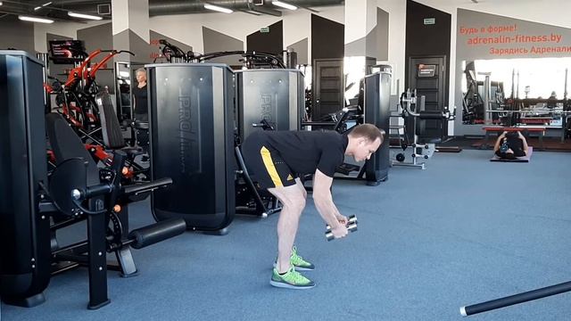 Разведение (махи) гантелей в наклоне на заднюю дельту плеча смотреть онлайн