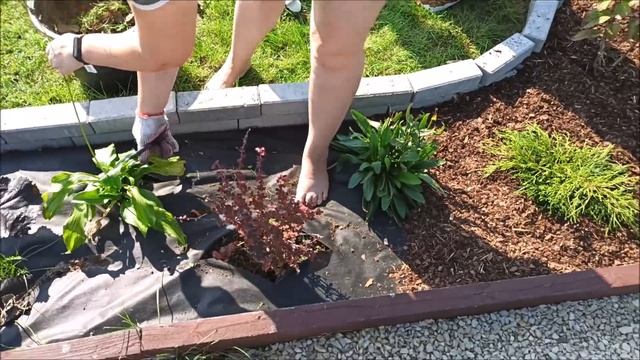 Закрытие шашлычно-купельно-огородного сезона смотреть онлайн
