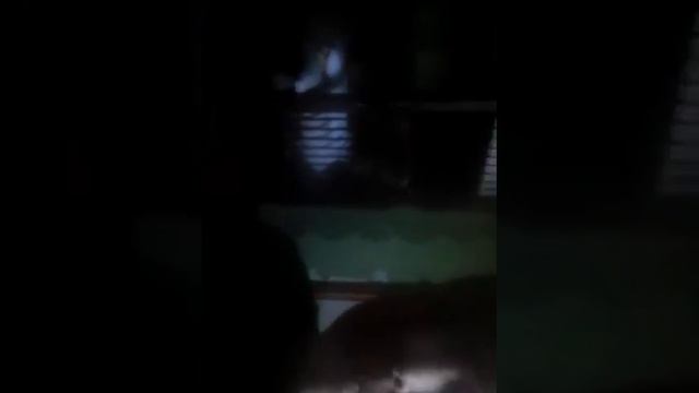 Что будет если в рот засунуть в рот орбиз смотреть онлайн