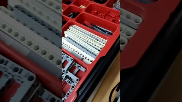 Цветок мухоловка смотреть онлайн