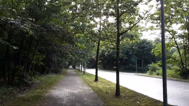 ГСВГ. Аltes Lager.От аэродрома к Городку летчиков 8.07.2021 смотреть онлайн