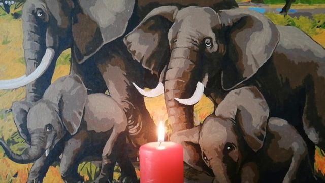 Вирус и карантин. Полезные советы. смотреть онлайн