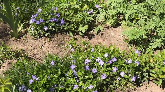 Где снимался сериал «Сваты»? Оболонские дворики смотреть онлайн