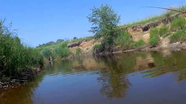 Рыбалка в жару на щуку. смотреть онлайн