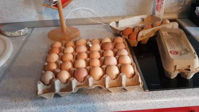 Как хранить инкубационное яйцо смотреть онлайн