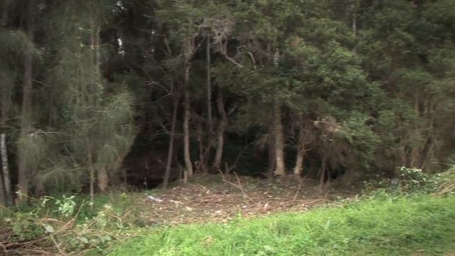 Earth Repair Ecology - The Ecological Restoration Specialists смотреть онлайн