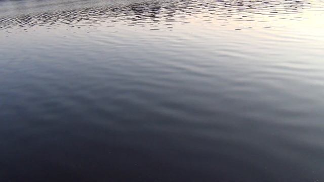 Вечерняя рыбалка на Канале им. Москвы Крупной рыбы нет. смотреть онлайн