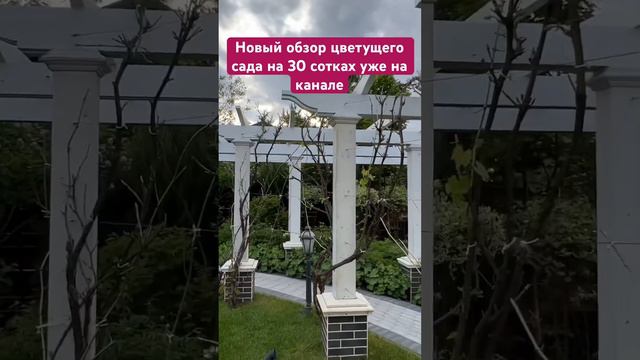 Обзор цветущего сада на 30 сотках уже на канале‼️ ссылка в описании смотреть онлайн