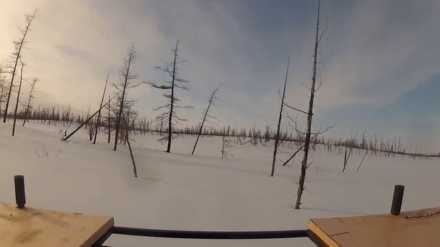 Сокол и снег смотреть онлайн