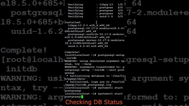 PostgreSQL Installation смотреть онлайн