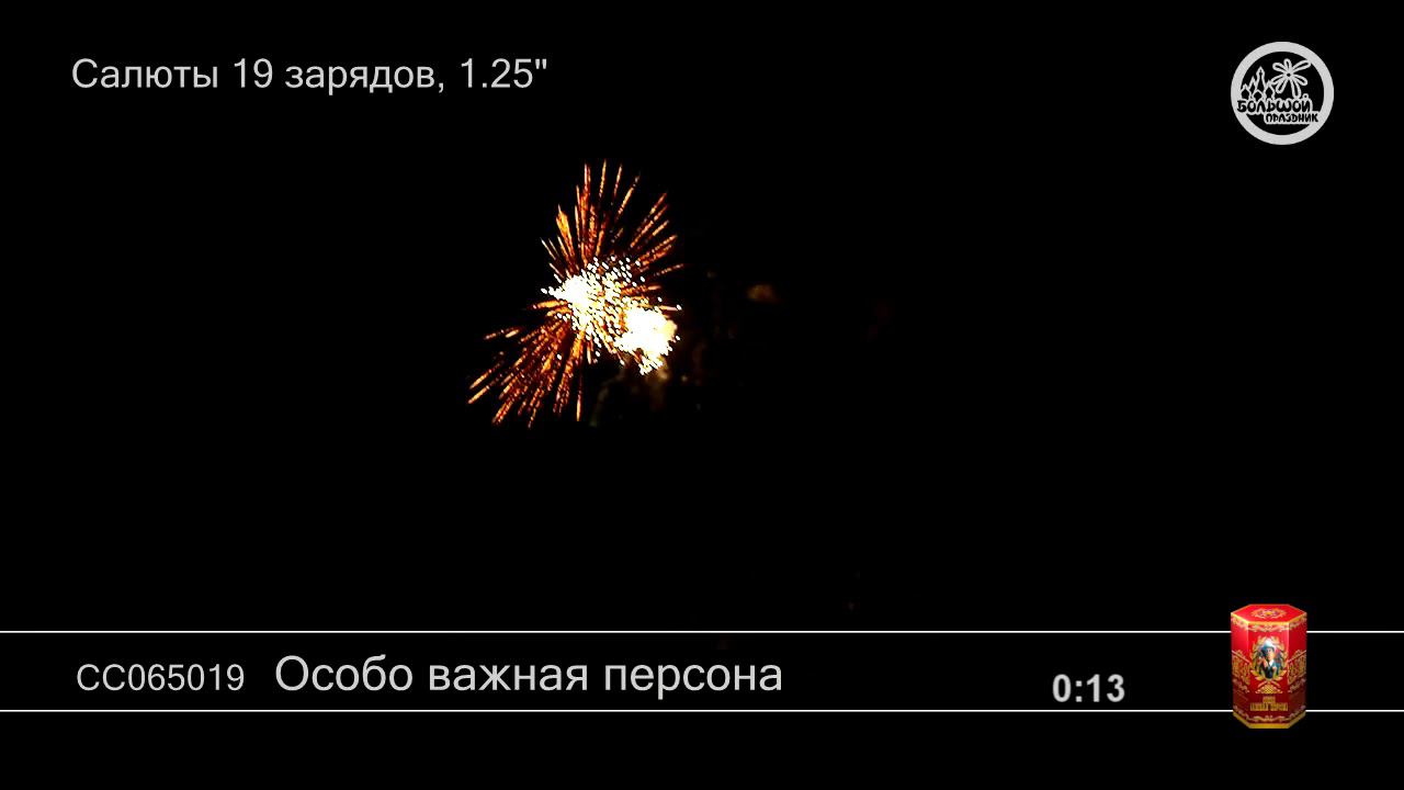 СС065019 Особо важная персона 8 1 - КОЛОРЛОН, фейерверки и салюты в Новосибирске смотреть онлайн