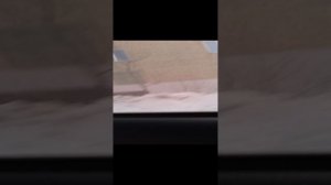 1000001050.mp4