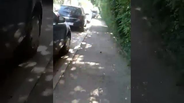 Делаем прививки моей собаке💉(1 часть) смотреть онлайн