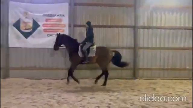 Большой, добрый, красивый. Можно прыгать. Арт.: 2869 смотреть онлайн