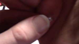 Полярность светодиода. Где плюс (анод) и минус (катод) у светодиода?