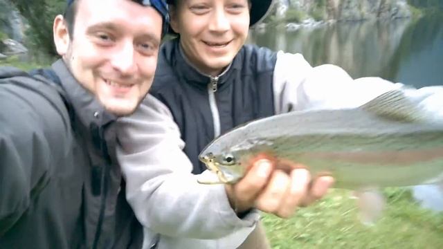 Живопись на Теле