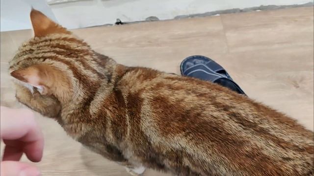 Клеим кирпичик своими руками. Освещение в квартире. Подсветка на потолке. смотреть онлайн