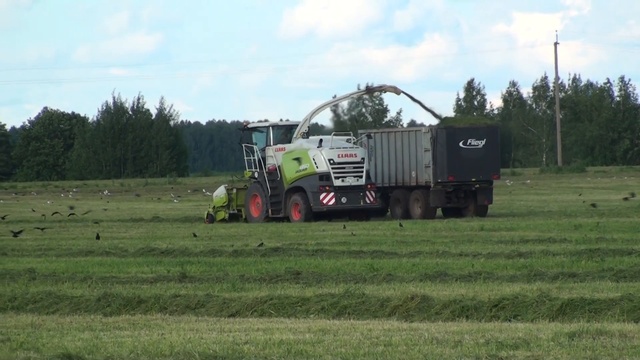 2X CLAAS JAGUAR 850, CLAAS AXION 930, POTTINGER JUMBO 8010,ХТЗ 17221,FLIEGL ASW 260. Сенаж 2018.