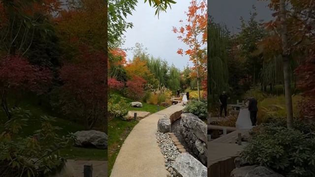 Та самая свадьба, которая всем мешала ? Ребята заняли локацию минут на 40! #паркгалицкого