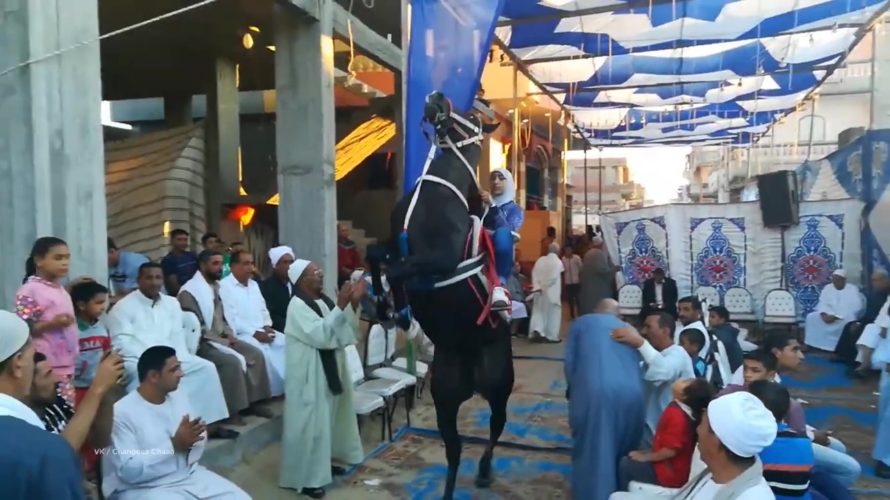 Arab Girl Dancing Horse - Riding Lovers Арабка гарцует на лошади Круто смотреть онлайн