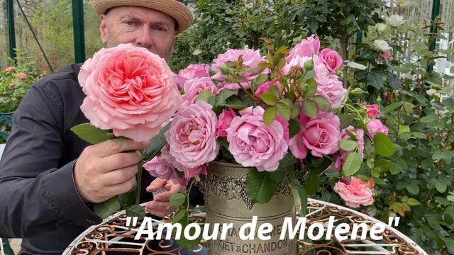 Agnes Schillinger Rosier