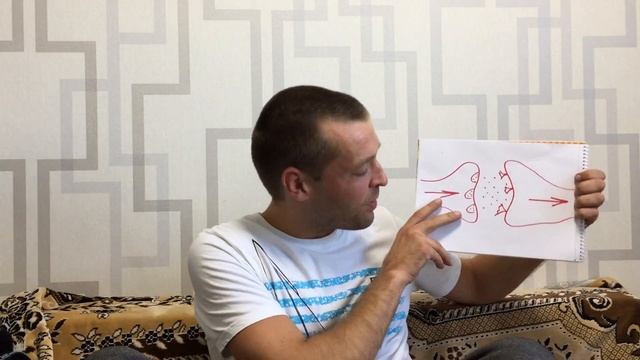 Основы поведения человека смотреть онлайн