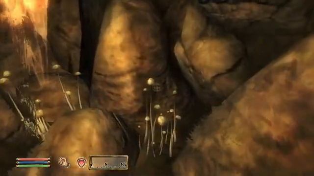 Прохождение игры The Elder Scrolls IV: Oblivion® Game of the Year Edition в 2019 # 37 смотреть онлайн